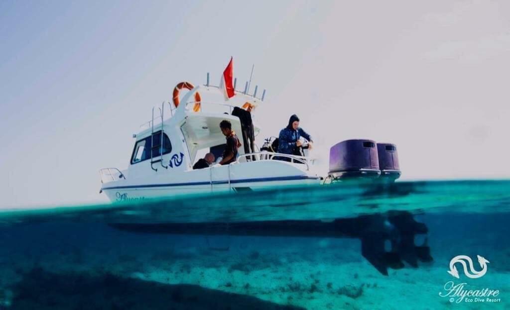 Eco Dive Resort Alycastre マウメレ エクステリア 写真